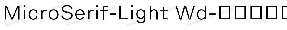 MicroSerif-Light Wd字体转换